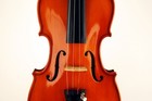 Picture for song 'Vibrant Strings' by artist 'ElectroSexual'