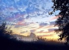 Picture for song 'opus4.mp3' by artist 'GeorgeGiatsidisProject'