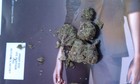 Picture for song '2gz-way fly' by artist 'GUNNA GANG 2GZ'