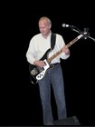 Picture for song 'Closer' by artist 'Hamilton Steele Band'
