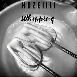 Picture for song 'Whipping' by artist 'Hozeiiiix4'