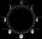 Picture for song 'Moon' by artist 'Javier Galea'