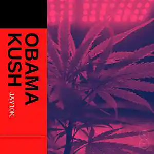 Picture for song 'Obama Kush' by artist 'Jay10k producer'