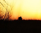 Picture for song '(SOLD) Hold Tight' by artist 'Jurd Beats'
