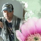 Picture for song 'Tears Of An Angel' by artist 'kenxk'