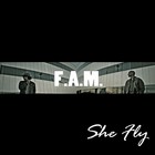 Picture for song 'She Fly' by artist 'Kianwe'