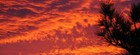 Picture for song 'Insight/rock version ( Instrumental version )' by artist 'O28'