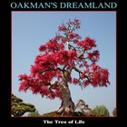 Picture for song 'The First Day of Summer' by artist 'Oakman's Dreamland'