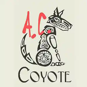 Picture for song 'Amos Coyote: 3. Spider Eyes' by artist 'paul gorman and the hypnotist collectors'