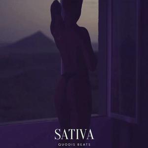 Picture for song 'Sativa ROSALÍA type beat Afrobeat type beat' by artist 'Quodis'