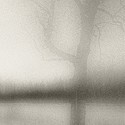 Picture for song 'Winterkill' by artist 'Ralph Atkinson'