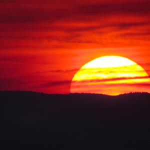 Picture for song 'Never' by artist 'RelevantBeats90'