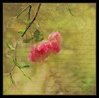 Picture for song 'Things That Might Have Been' by artist 'Rick Bryce'