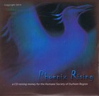 Picture for song 'It's Alright' by artist 'Rolf Eikeland'