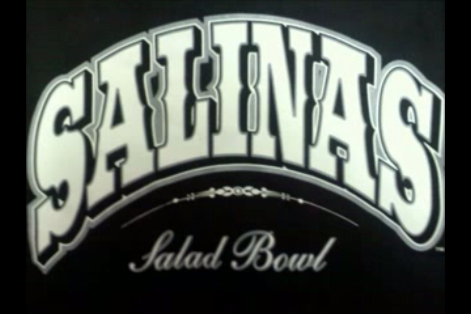 Picture for song '16 VaGoS FrEeStYlE.mp3' by artist 'SALINERO EASTSIDE VAGEROS 13'