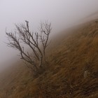 Picture for song 'Nihil Verum' by artist 'Sebastian Breitenbach'