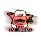 Picture for song 'HamSquad $%&#(Free DL)' by artist 'Sinful Synthz'