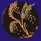 Picture for song 'Autumn' by artist 'Strawberry Fools'