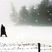 Picture for song 'Redbreast' by artist 'The Smivets'