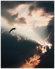 Picture for song 'NEVER STOP ME W/HOOK *ANTHEM*(.75 demo)GUITAR)' by artist 'Topmass Productions'