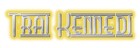Picture for song 'Heavy Lies the Crown' by artist 'Trai Kennedi'
