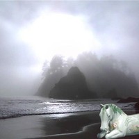 Picture for song 'SUNBEAMS REMIX 1: FEAT: FAUNASERENE & T REYES' by artist 'TReyes'