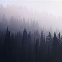 Picture for song 'BORING(PROD.whoDeany)' by artist 'whoDeanyBeatz'