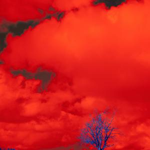 Picture for song '"WHY" Beat for Sale' by artist 'whoDeanyBeatz'