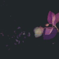 Picture for song 'First Move ' by artist 'Wonderlust Beats'