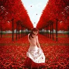 Picture for song 'XRazziax D567' by artist 'XRazziaX Productons'