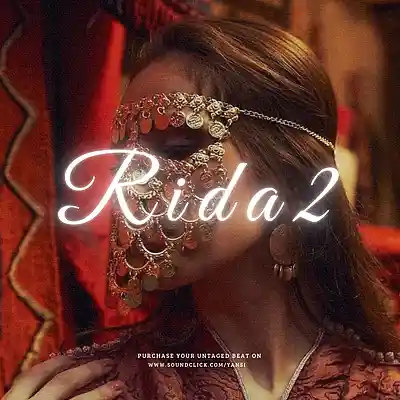 Picture for song 'Arabic Afrobeat x Oud Type Beat "Rida2"' by artist 'yansi'