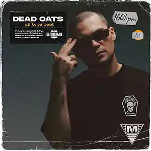 Picture for song 'Dead cats' by artist 'BITODELNYA'