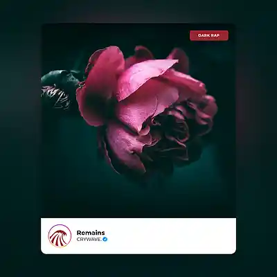 Picture for song 'Remains' by artist 'CRYWAVE.'