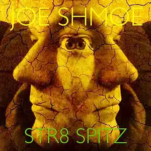 Picture for song 'STR8 SPITZ' by artist 'Joe Shmoe'