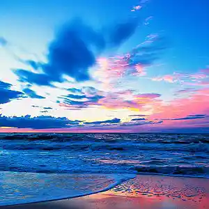 Picture for song 'Feelings...' by artist 'Marryd'