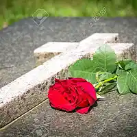Picture for song 'Red Roses they blossom so fresh on your grave ' by artist 'Peter Kosta's Galaxy Rock Band'
