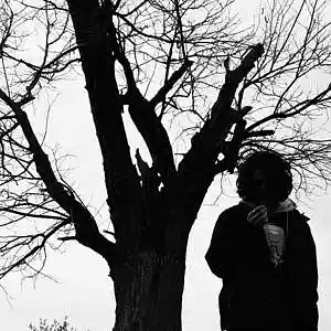 Picture for song 'Poisonous Blood Under The Dead Tree' by artist 'HXSHXR'