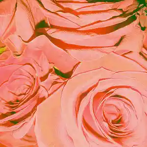 Picture for song 'Paradox' by artist 'DJ TonySnow'