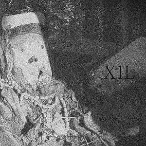 Picture for song 'Rot' by artist 'X1L'