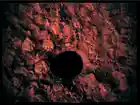 Picture for song 'Siphoned X MP3.mp3' by artist 'Cristoffer L'