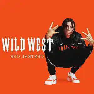 Picture for song 'Central Cee x Uk Drill Type Beat - "Pinging"' by artist 'GloryKeyz.'