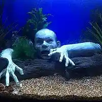 Picture for song 'TAK 28 Fish in my Head' by artist 'Jammer59'