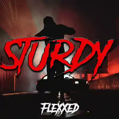 Picture for song '"STURDY" UK Drill Type Beat x NY Drill Type B 638' by artist 'neyoooo36'