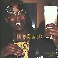 Picture for song 'Lit like a Bic' by artist 'Players Inc. 818'