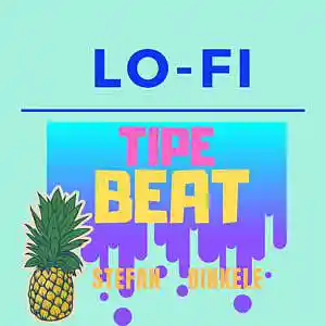 Picture for song 'Fanso x Craneo x Lofi x Type Beat' by artist 'Stefan'