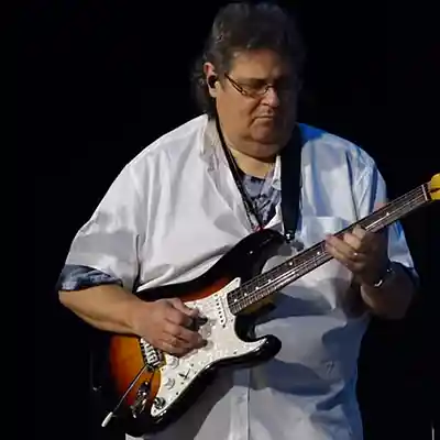 Picture for song 'Musically Playzing The King' by artist 'The Funky Guitarist'
