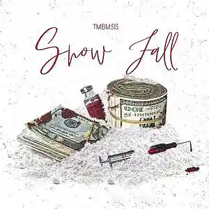 Picture for song 'Snow Fall' by artist 'TMBM313'