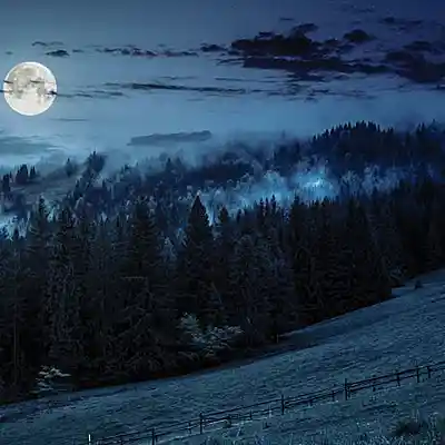 Picture for song 'Waxing' by artist 'Beyond the Moon'