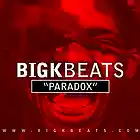 Picture for song 'Paradox' by artist 'BigKBeats'