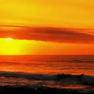 Picture for song 'You'll Never Walk Alone' by artist 'Cocoband'